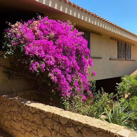 Sunshine With Private Pool Villa Costa Paradiso